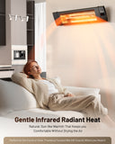 Dr Infrared Heater DR-238 Carbon Infrared Outdoor Heater for Restaurant, Patio, Backyard, Garage, and Decks, Standard, Wall or Ceiling Mount with Remote, 1500-Watt, Black